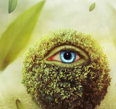 电话验证码轰炸免费